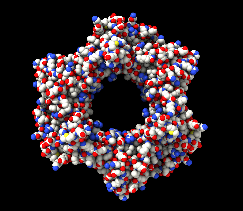 Large doughnut-shaped molecular structure