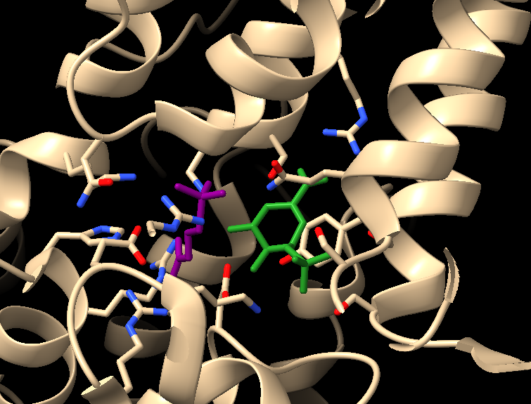 Molecular structure using a combination of cartoon format depicting protein secondary structure, and stick modeling showing ligands and key side chains